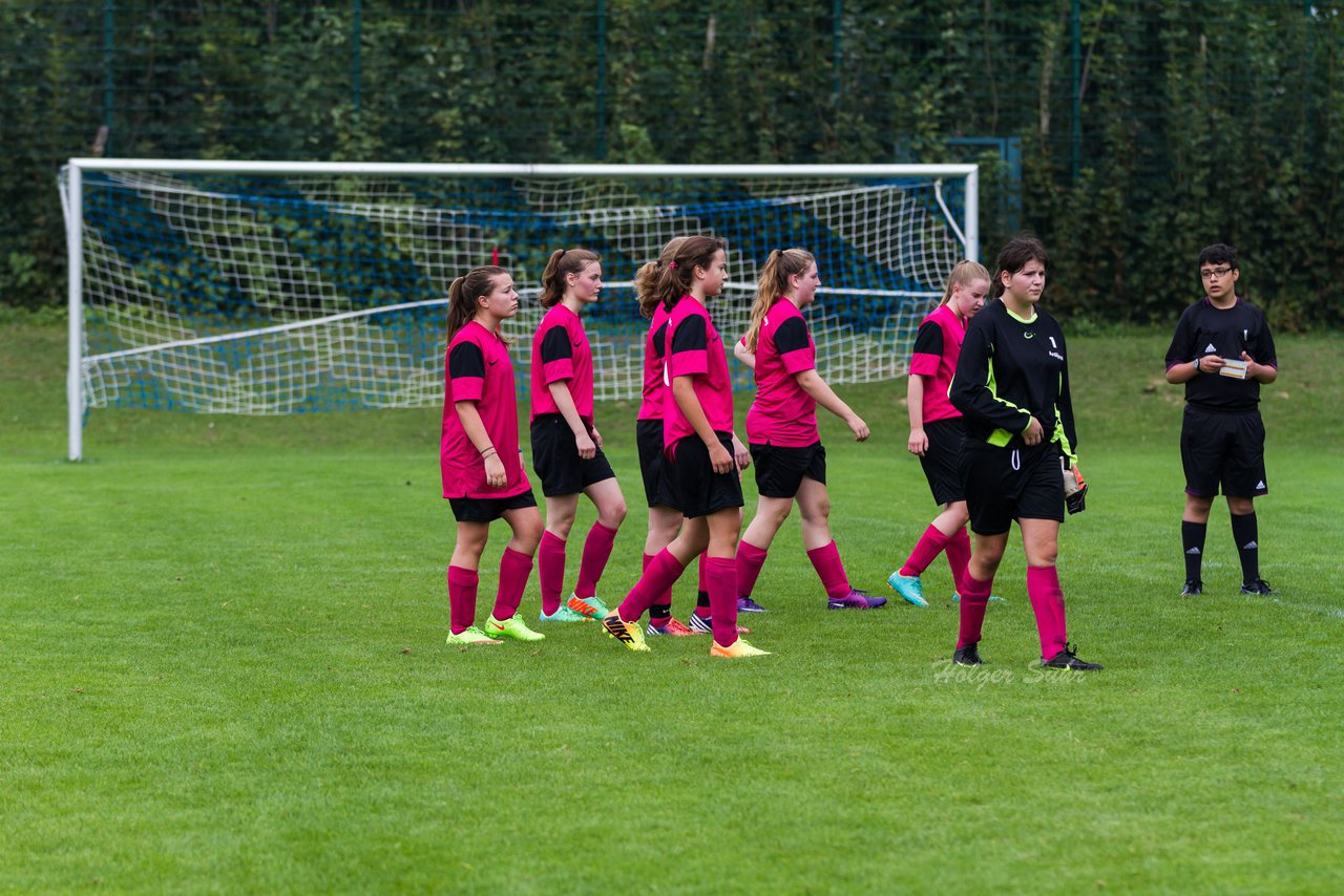 Bild 431 - B-Juniorinnen FSG BraWie 08 - JSG Sandesneben : Ergebnis: 2:0